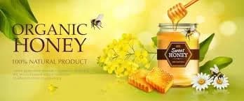 banner image of my store